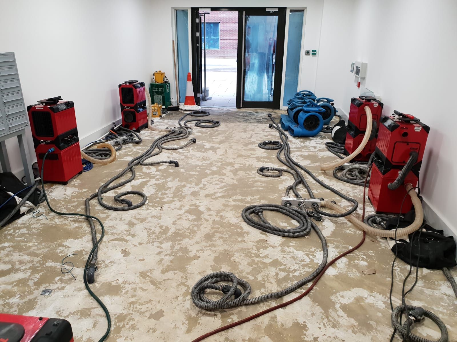 skillsee- Complete Drying and Dehumidification